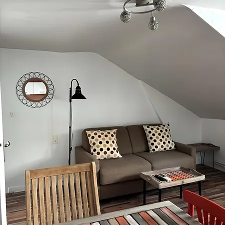 Mosaik 생장드루즈