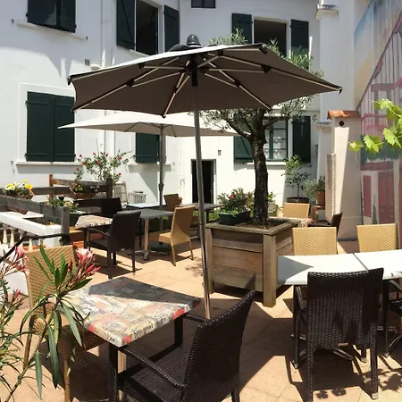 Mosaik 생장드루즈